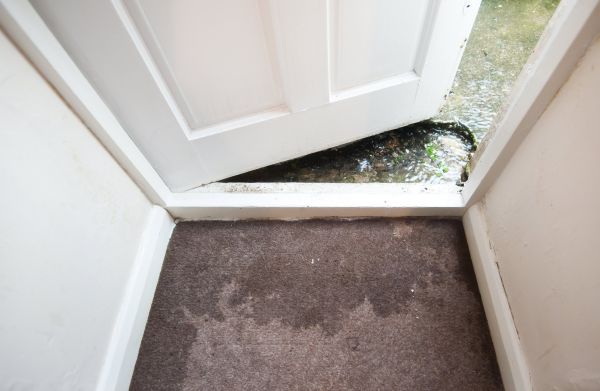 Wet Carpet Restoration in Ashburn