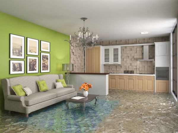Wet Carpet Drying in Ashburn