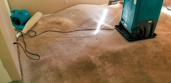 Carpet Water Extraction in Ashburn